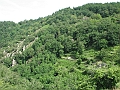 IMG_4361