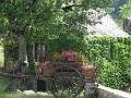 IMG_4363