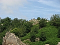 IMG_4367
