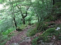 IMG_4380