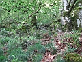 IMG_4384