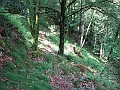 IMG_4387