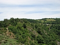 IMG_4397