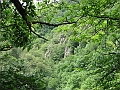 IMG_4407