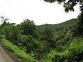IMG_4411