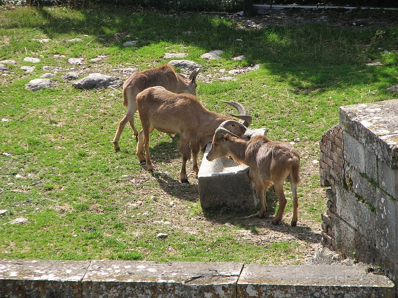 IMG_4479.JPG