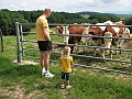 IMG_4520