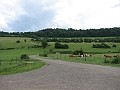 IMG_4526