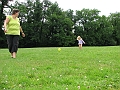 IMG_4595