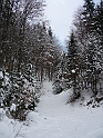 P1000642