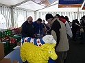 P1000698